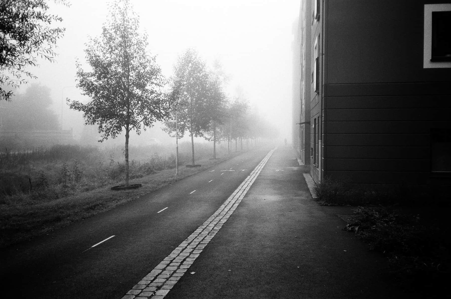 cykelbana i dimma